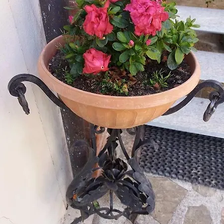 Agriturismo Suri Sant'Andrea (Piedmont)